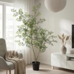 Tall leafy indoor plant in a black pot stands beside a white media cabinet in a bright living room with sheer curtains and a cozy gray armchair.