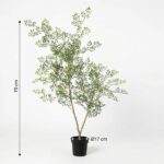 Decorative leafy shrub in a black pot, about 70 cm tall with a 17 cm pot diameter.