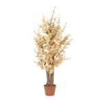 Dried beige eucalyptus branches in a terracotta pot.