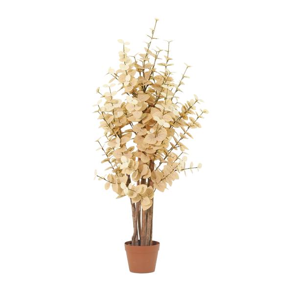 Dried beige eucalyptus branches in a terracotta pot.