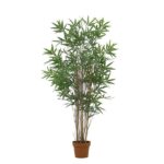 Tall indoor decorative plant with multiple slender brown stems and dense green, bamboo-like leaves in a terracotta pot