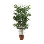 Tall indoor bamboo plant with multiple slender trunks in a terracotta pot and dense green leaves.