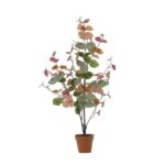 Small decorative potted plant with round multicolored leaves (green, orange, pink) in a terracotta pot.