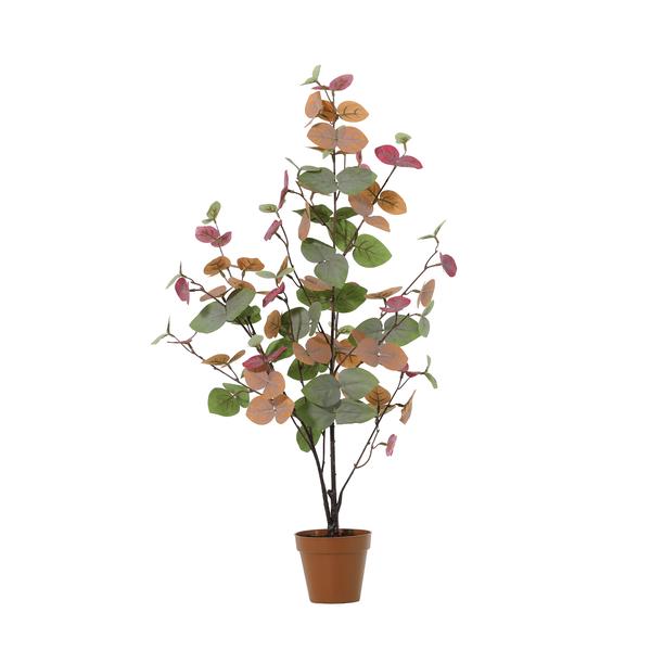 Small decorative potted plant with round multicolored leaves (green, orange, pink) in a terracotta pot.
