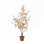 Decorative potted plant with pale beige leaves in a small terracotta pot