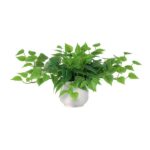 Trailing pothos plant in a white ceramic pot with cascading green leaves.