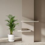 Minimalist interior scene with a tall potted plant beside a beige wall and two white floating shelves, one with a small stack of books.