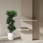 Tall potted green plant beside a beige wall with floating white shelves and a small stack of books on the lower shelf.