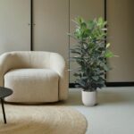 Beige rounded armchair beside a tall potted plant on a light floor with a circular woven rug and neutral cabinets in the background
