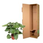 Potted green houseplant next to a tall open cardboard shipping box, showing its empty interior compartments.