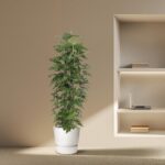 Tall green plant in a white pot sits on a beige floor beside a built-in shelf containing a laptop and small stacks of books.