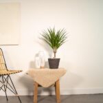 Minimalist living room corner with a potted plant, white vases, on a small wooden table covered by a beige cloth, beside a wicker chair.
