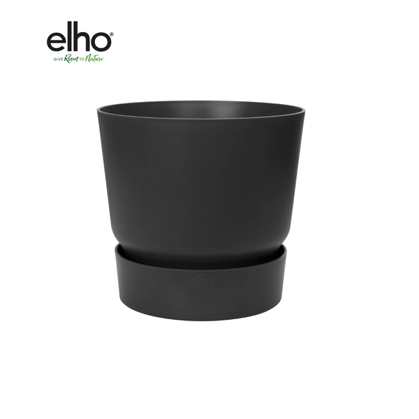 Dark gray planter with a matching saucer (elloh brand visible).