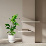 Modern living room corner with a tall green plant in a white pot and two white floating shelves on a beige wall, with a small stack of books on the lower shelf.