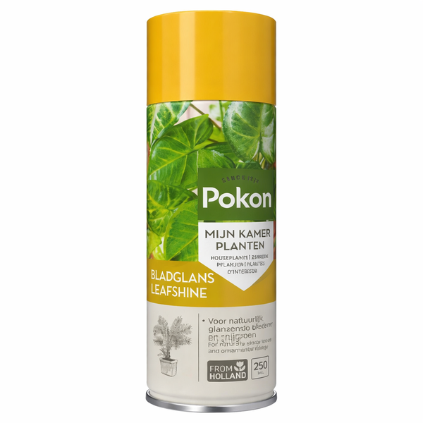 Can of Pokon Bladglans Leafshine plant spray for glossy indoor leaves with yellow cap