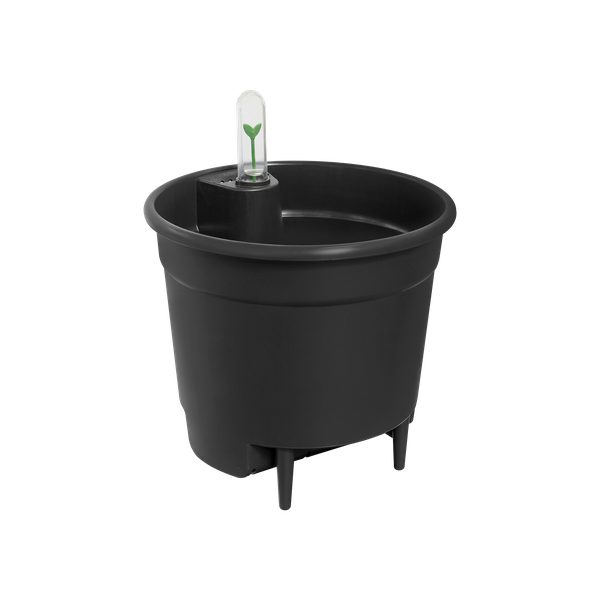 Black plastic plant pot with a clear water/indicator dome showing a small green seedling inside.