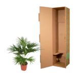 Potted palm plant beside an open tall cardboard shipping box with green decorative pattern