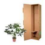 Potted houseplant placed beside a tall brown cardboard shipping box used for packing