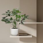 Potted green leafy plant in a white ribbed pot on a floating beige shelf with a small stack of books nearby on a neutral wall.