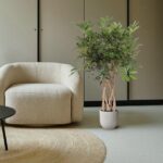 Beige boucle armchair next to a braided-trunk potted plant on a light floor with a round woven rug.