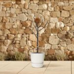 Leafless tree in a white pot on a tiled patio with a stone wall backdrop