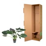 Potted houseplant with broad green leaves beside an open tall cardboard shipping box.