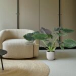 A beige textured armchair beside a potted green plant in a white ribbed pot, with a round jute rug and neutral cabinets in the background.