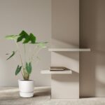 Potted green plant on the floor beside a beige wall with two white floating shelves and a small stack of books.