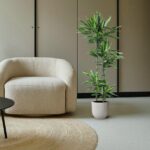 Beige rounded armchair beside a tall leafy plant in a white pot on a neutral floor.