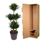 Tall potted artificial plant next to an open cardboard shipping box.