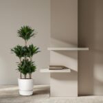 Indoor scene with a tall potted plant beside a beige wall and two white floating shelves holding a small stack of books.