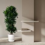 Tall potted plant beside a beige wall with two white floating shelves; a few books sit on the lower shelf.