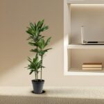 Tall potted houseplant with broad green leaves on a beige bench beside a built-in shelf with a laptop and books.