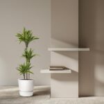 Tall potted plant beside floating white shelves with a small stack of books in a neutral beige room.