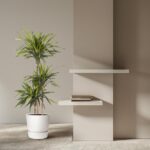 Tall potted plant in a white pot beside two white floating shelves with a small stack of books in a minimalist neutral living space.