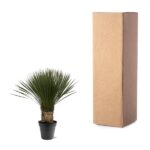 Potted fan palm plant next to a tall brown cardboard shipping box.