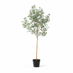 Potted tree with a slender trunk and dense green leaves in a black pot on a white background.