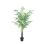Tall potted palm plant with feathery green fronds in a black pot for indoor decor