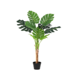 Potted green tropical plant with large split leaves in a black pot.