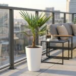 Tall potted palm-like plant in a white planter on a sunlit balcony beside a modern black metal table and gray outdoor sofa with cushions.