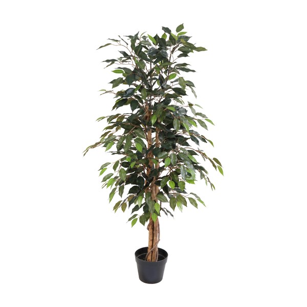 Tall artificial ficus tree in a black pot with lush green leaves, indoor decor