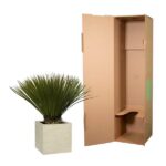 Potted green spiky-leaved plant in a square pot beside an open tall cardboard shipping box.