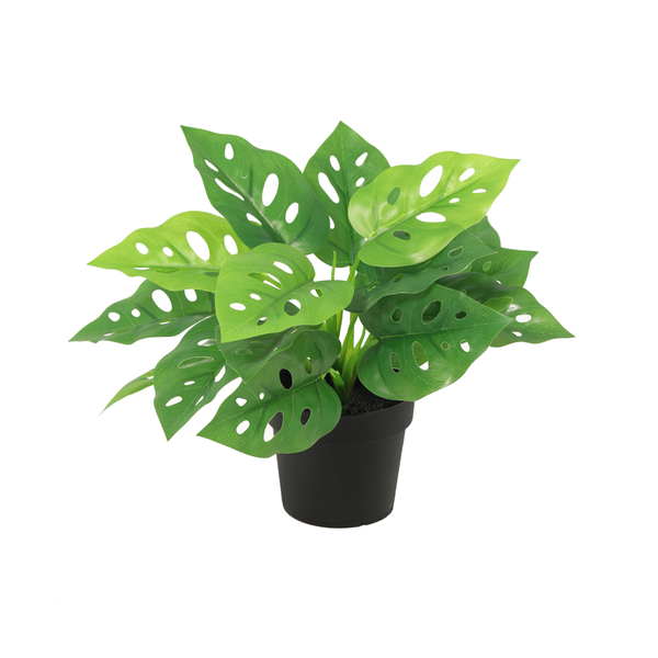 Artificial monstera plant with large green split leaves in a black pot for decoration