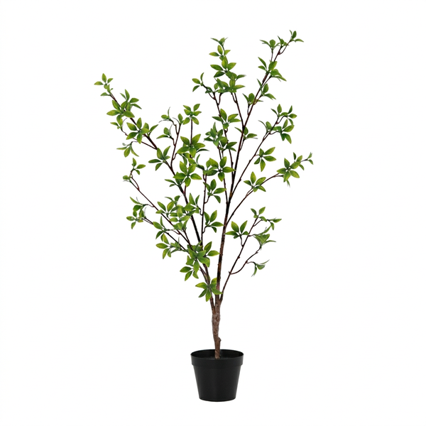 Small potted decorative tree with green leaves in a black pot against a white background.