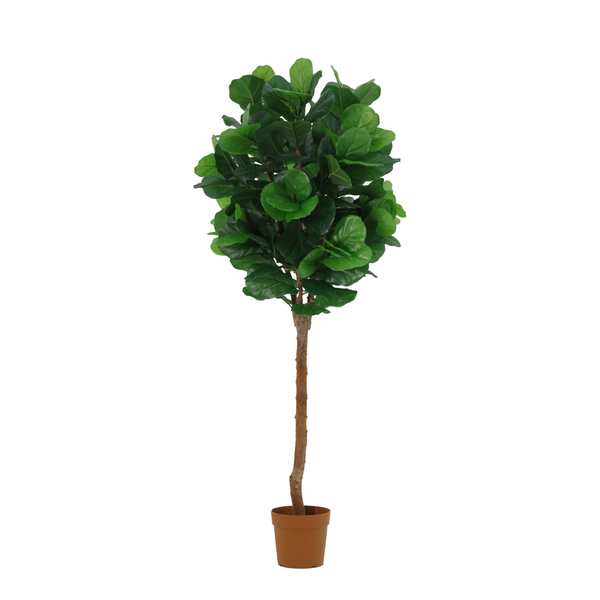 Artificial potted tree with a slender trunk and dense green leaves, used as indoor décor.