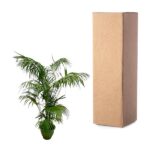 Potted palm plant next to a tall cardboard shipping box on a white background.