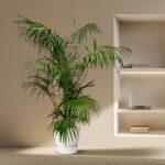 Indoor palm plant in a white pot sits beside a built-in recessed bookshelf with a laptop and books on a beige wall backdrop.