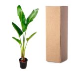 Tall potted tropical plant with broad green leaves beside a brown cardboard box on a white background