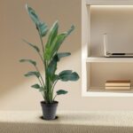 Tall leafy houseplant in a gray pot sits on a beige woven bench against a wall with built‑in shelves and a laptop nearby