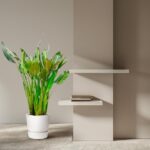 Indoor plant in a white pot beside a beige wall with white floating shelves and a small stack of books on the lower shelf.